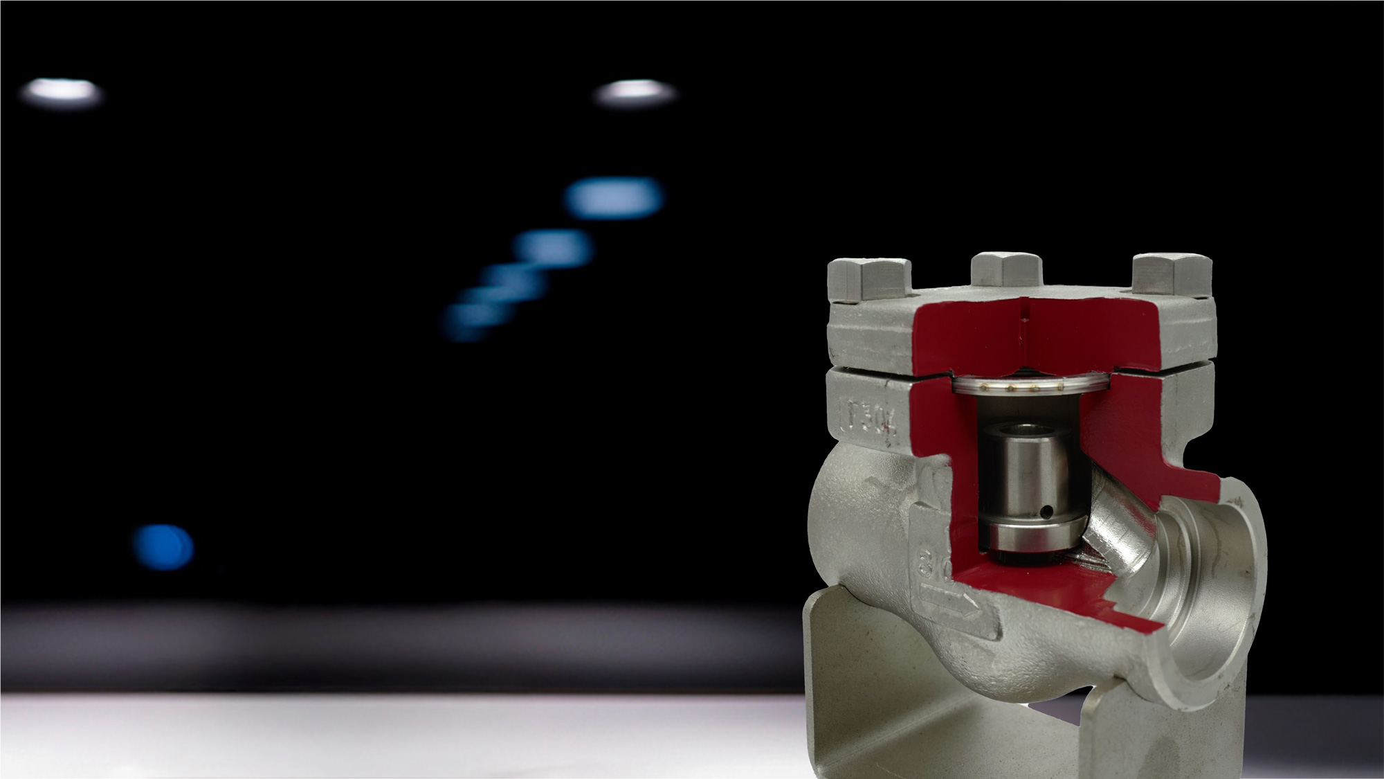 DEV Check Valves